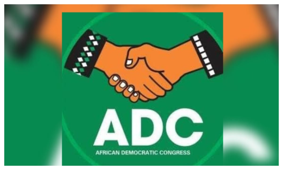 Atiku: ‘Take it easy, no insults’ – ADC knocks presidency