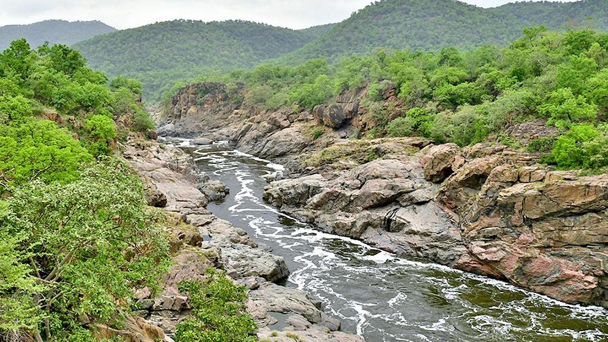 Mekedatu: CWC asks Karnataka to submit revised Detailed Project Report