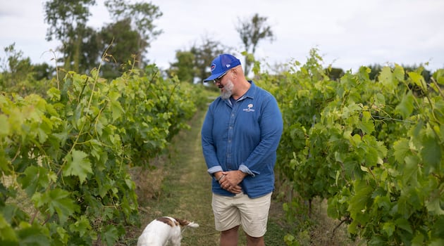 Inside the Irish vineyard facing questions over how much of its wine is from Irish grapes