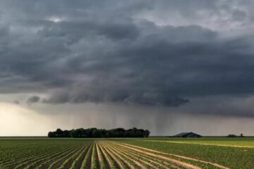 Warm week ahead, thunderstorms likely on Thursday