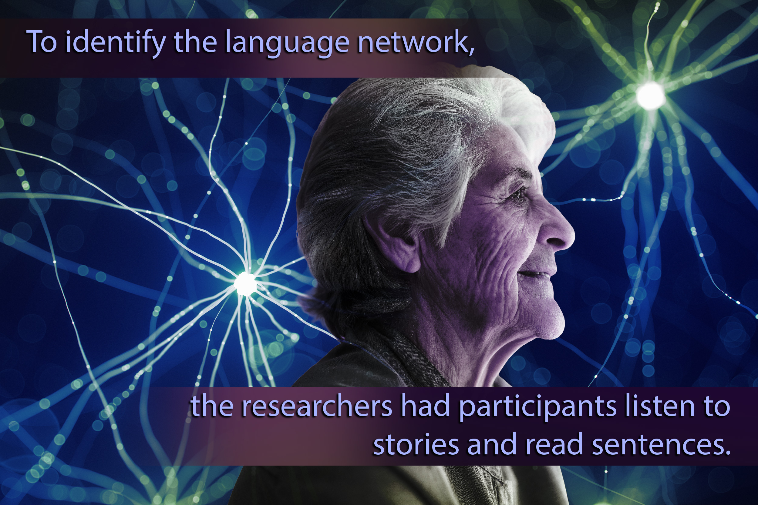 Language skills stay strong in older adults, even while other cognitive abilities decline