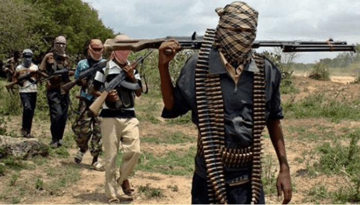 Two kidnapped, two killed in fresh Kaduna community attack