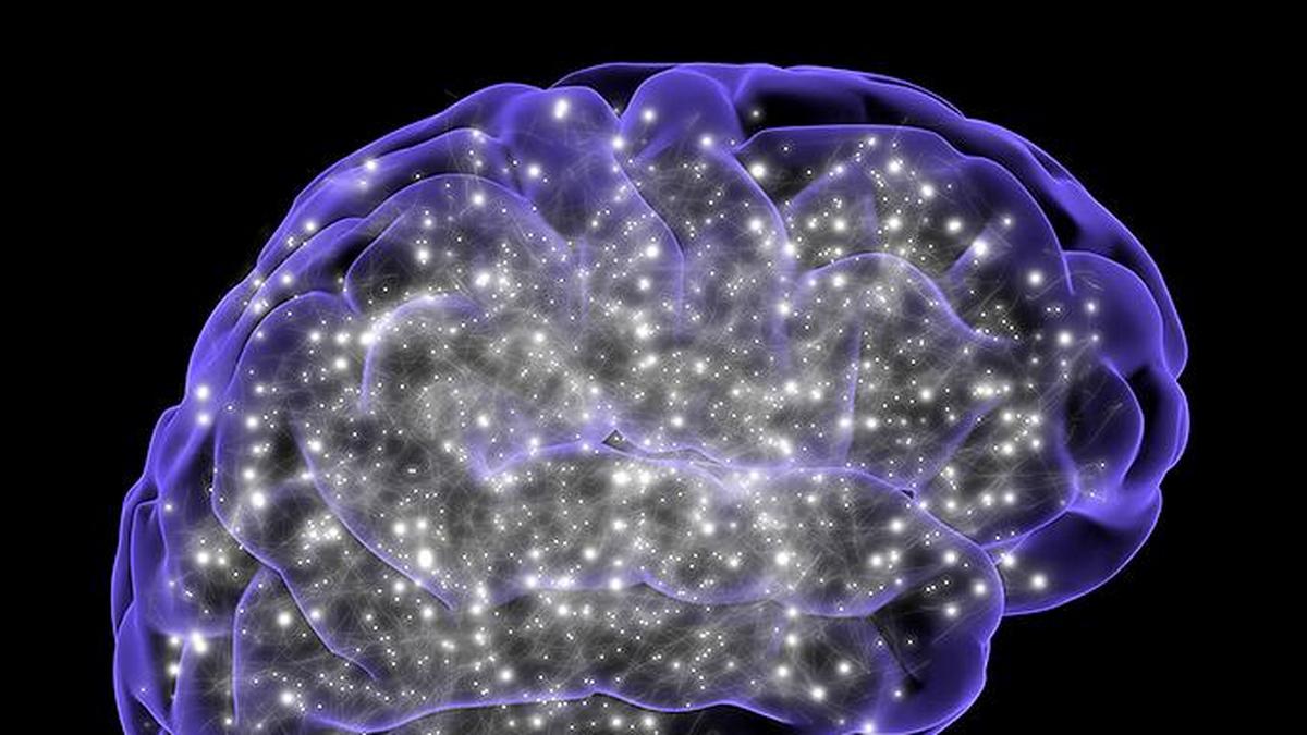 Environmental lead exposure linked to greater neuronal damage: ICMR-NIN