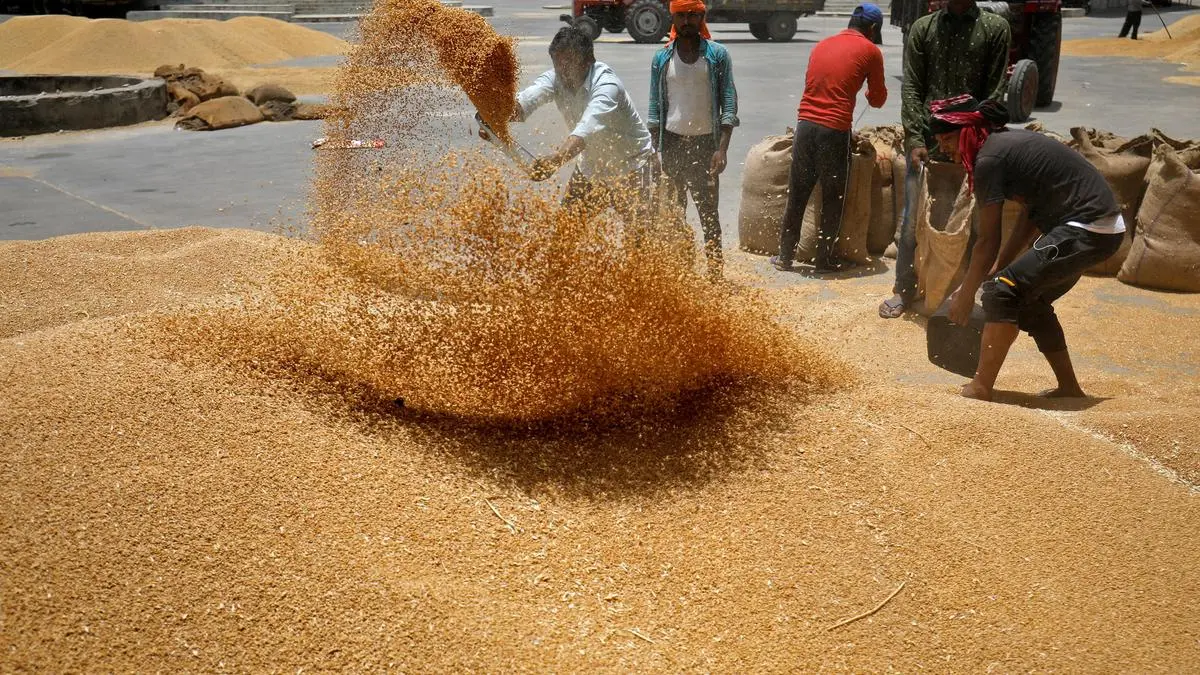 Govt lifts wheat export ban with immediate effect