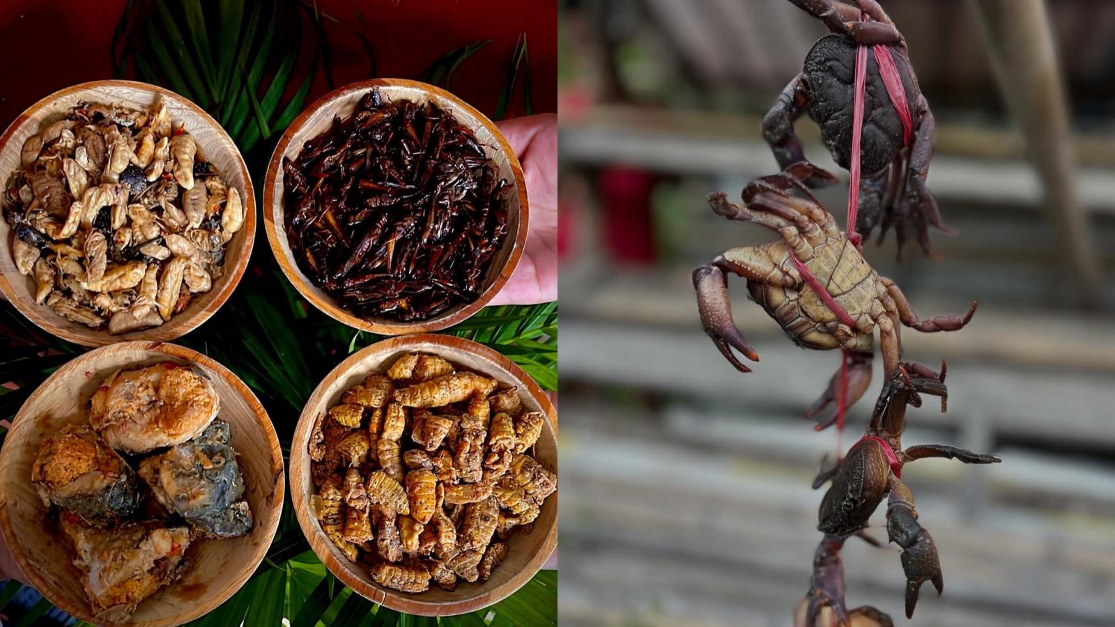 ‘Crabs, silkworms’: Nagaland minister says local fare not for ‘weak-hearted’