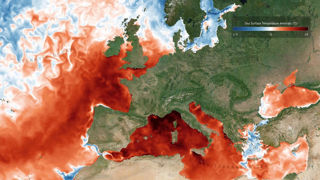 Why Marine Heat Waves and Acidification Strike Together