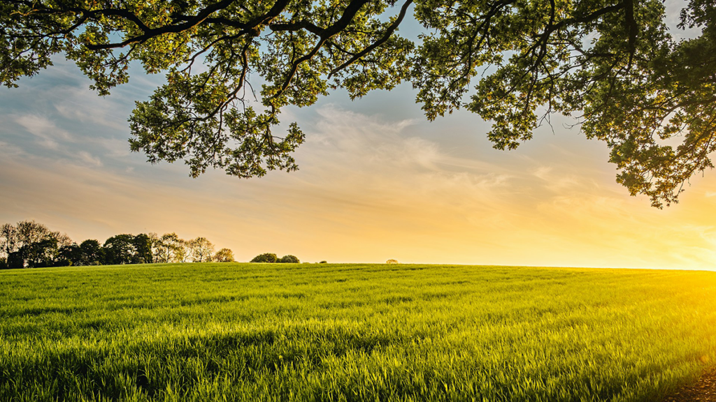 Measuring What Matters: Farmer-Driven Sustainability Metrics