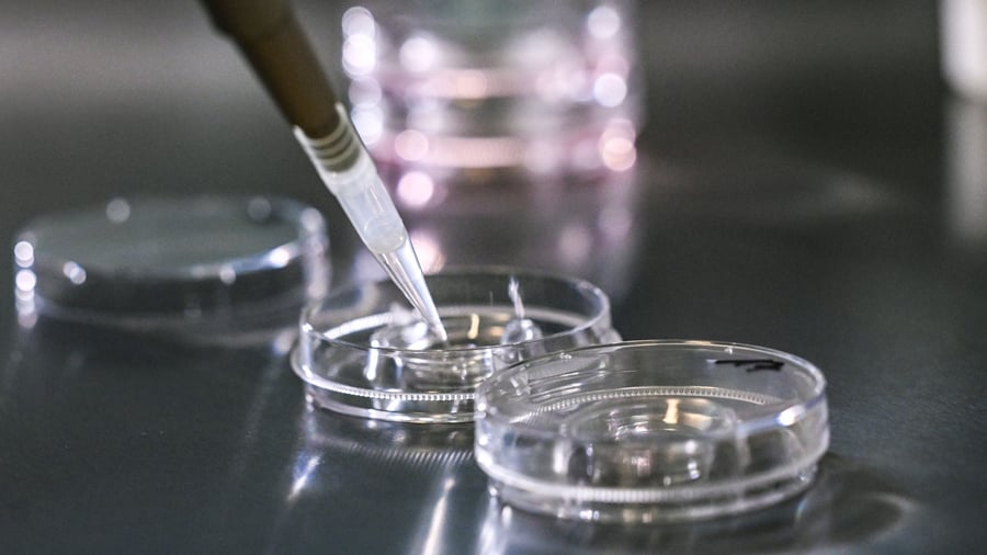 Artificial fertilization: Woman has wrong embryo implanted in Italy