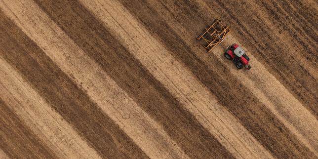 Drought and heatwaves: farmers, who are facing an unprecedented "climate catastrophe", need "billions of euros" in aid, according to the FNSEA