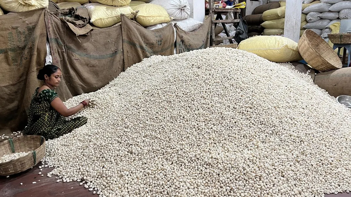GI-tagged Mithila Makhana makes first sea shipment from Bihar to Australia