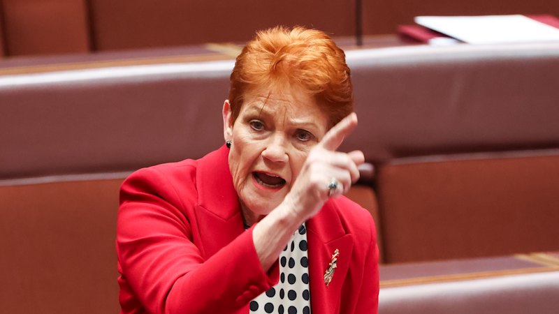 1000 One Nation voters said why they were voting for Hanson - and what it would take to switch