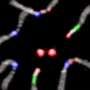 How chromosomes find their partners