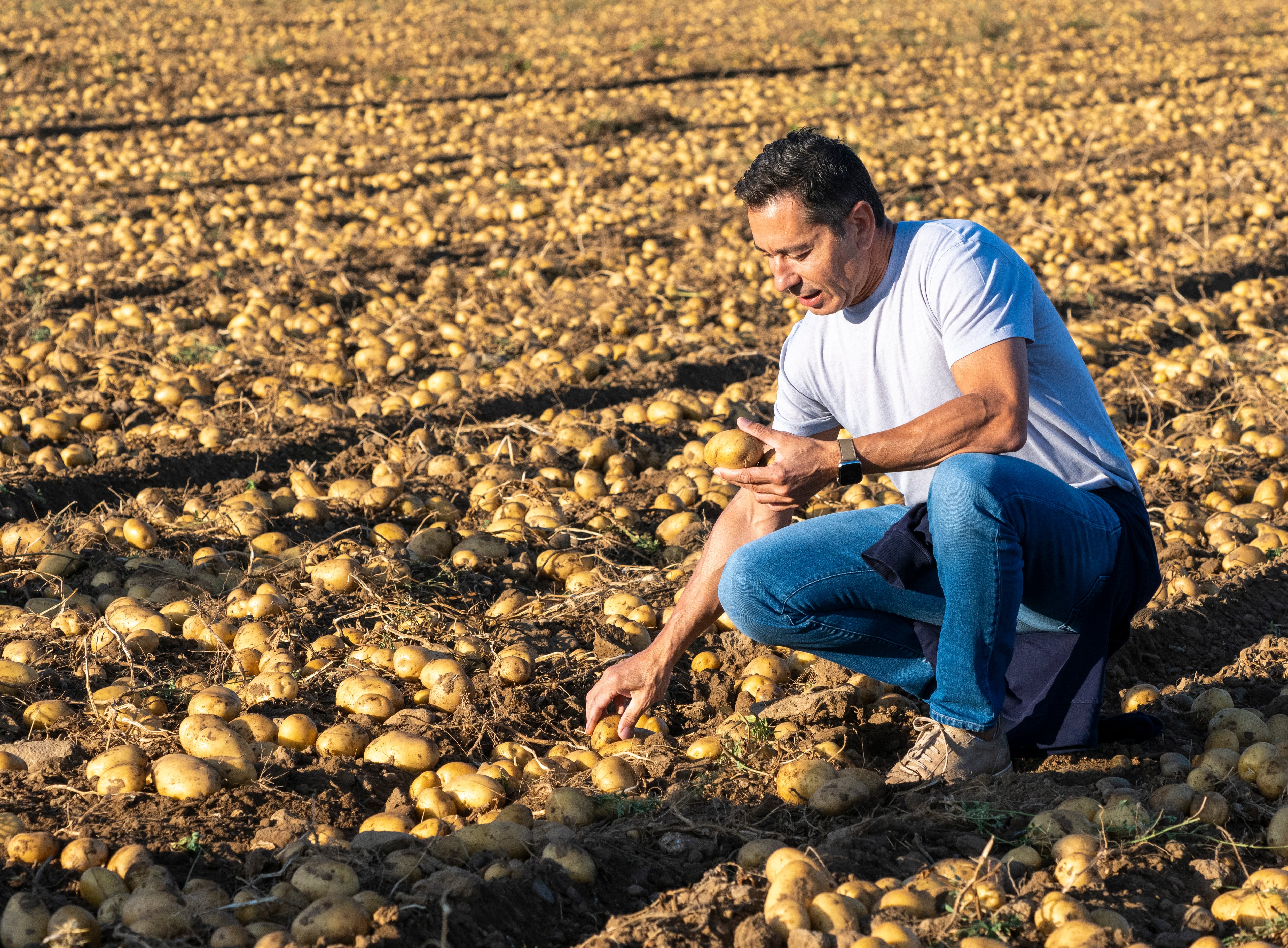 The king of the potato in Spain (and supplier to Mercadona) is now looking abroad