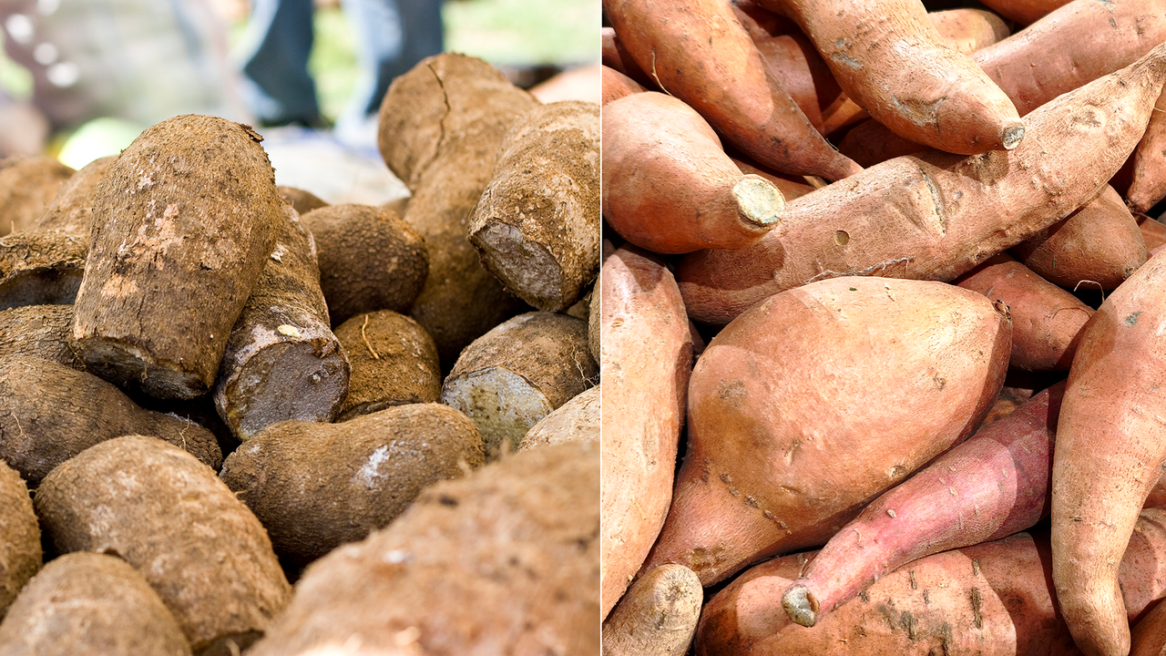 What's the difference between sweet potatoes and yams?