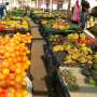 South Africa produces enough food, yet millions face hunger. Better cold storage could help change that