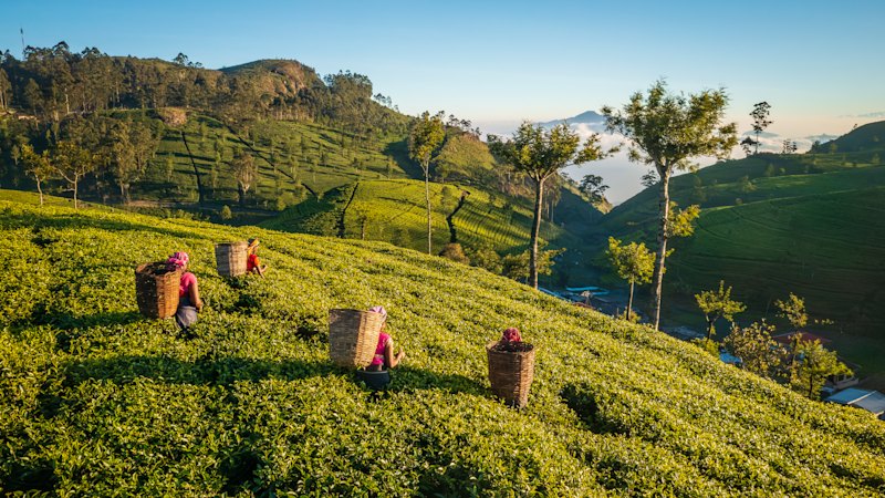 Jetstar’s new route to one of Asia’s coolest destinations takes off