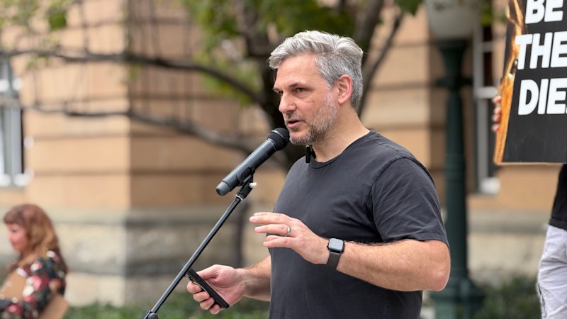 Greens to force Airtrain showdown with buyback bill