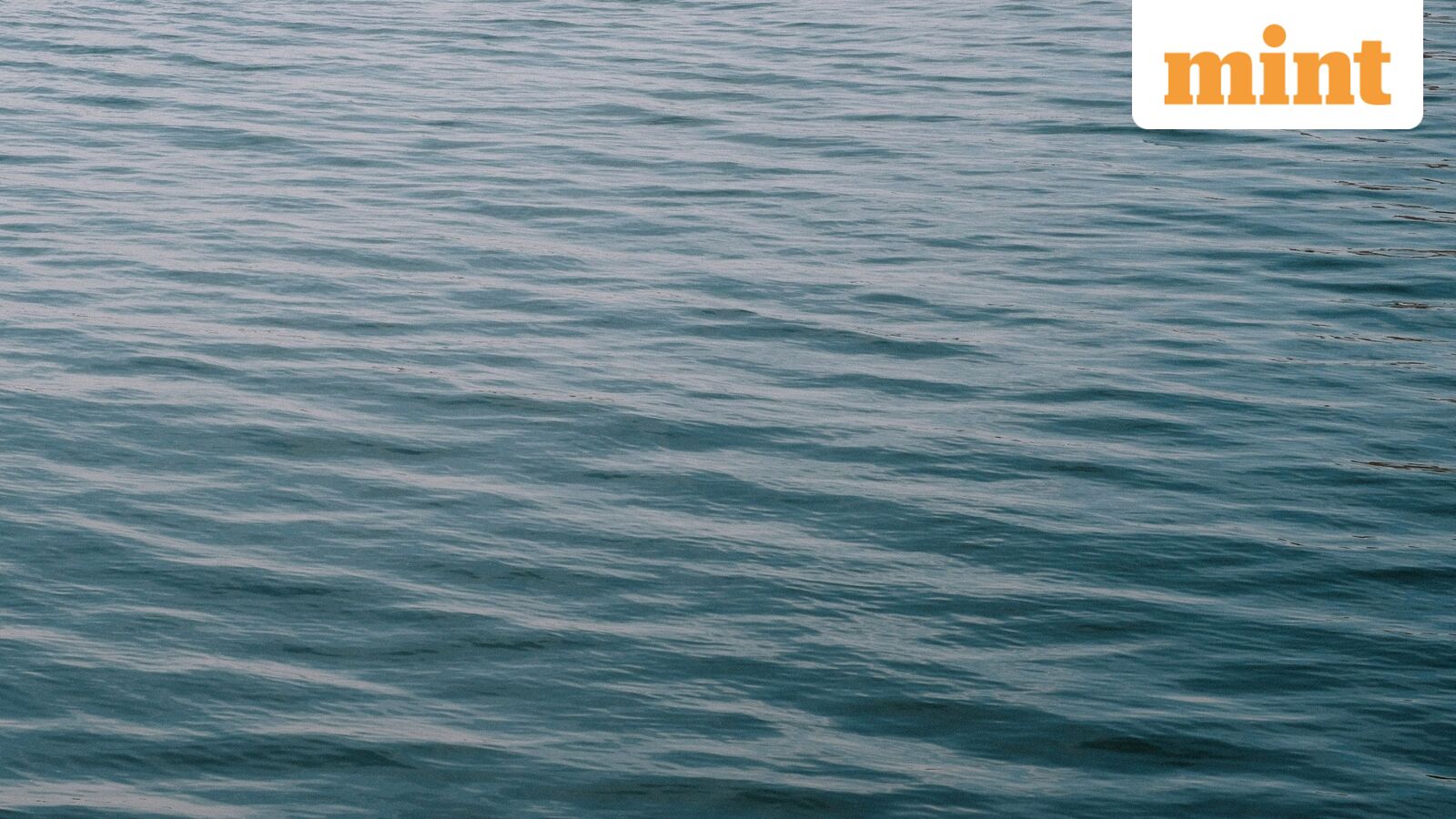 Flesh-eating bacteria alert in Louisiana: Vibrio vulnificus cases rise; 5 people die after exposure to seawater