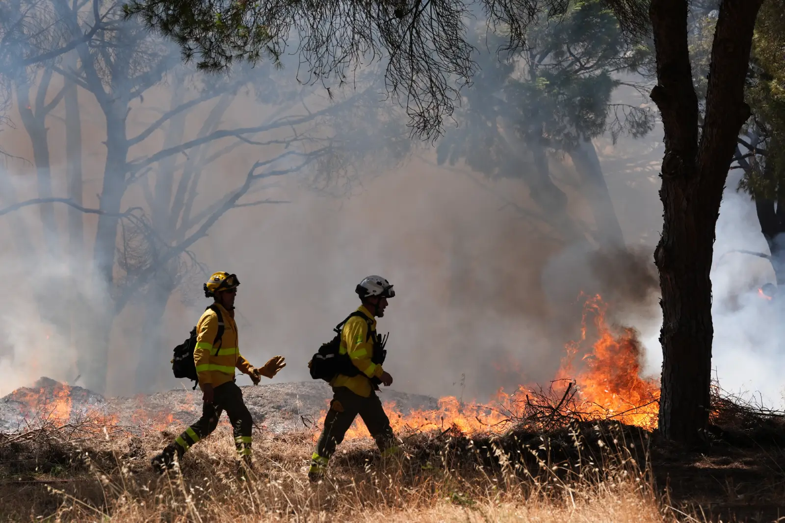Spain deploys 275 firefighters to tackle Andalusia forest blaze
