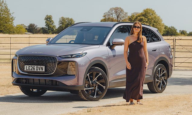 Lepas L8 review: The premium Chinese SUV at a family-friendly price - but can it stand out from the crowd?