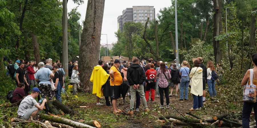 Kyiv suspends Teremky tree removal after mass protest