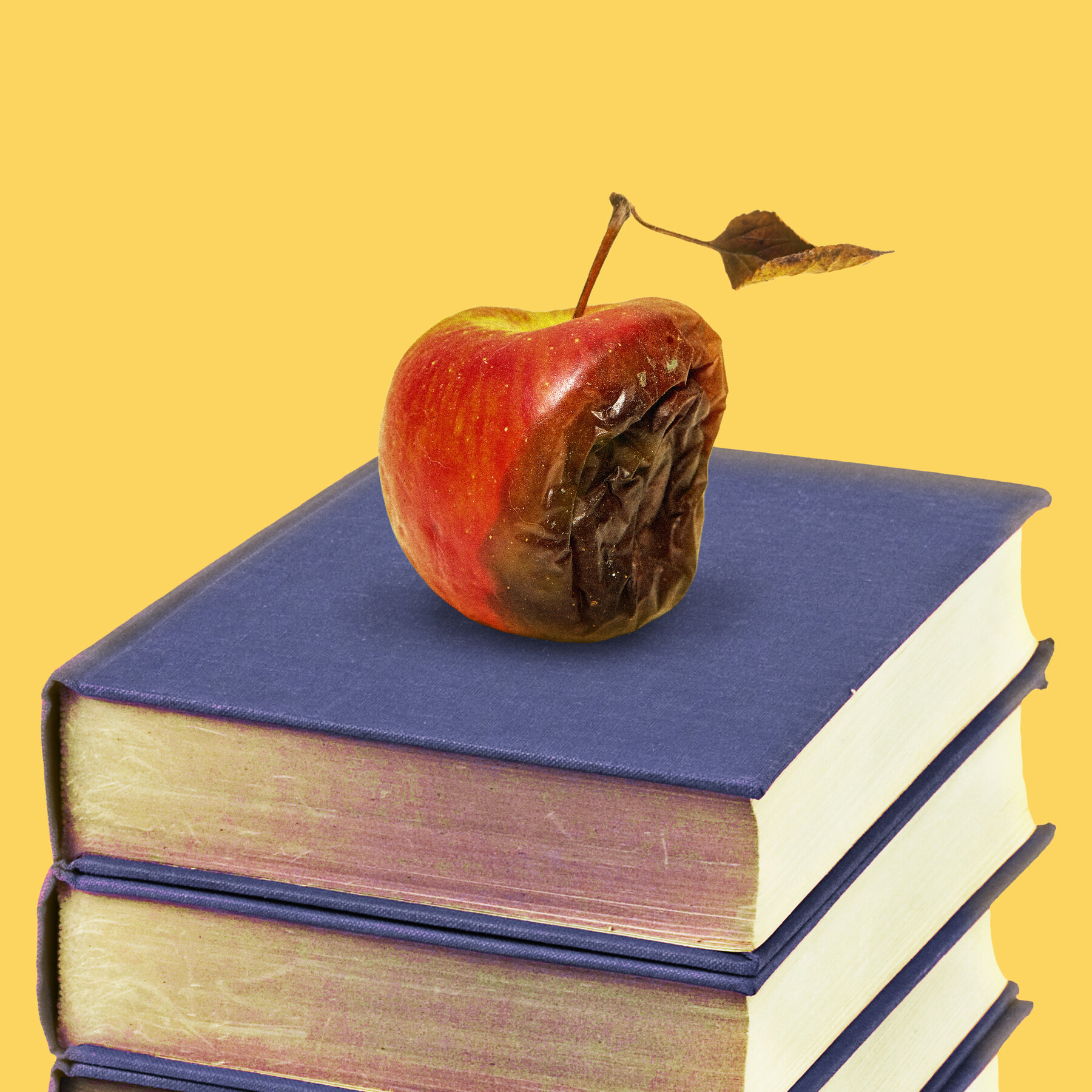 A Top Scholar’s Fall Shows That Universities Don’t Get It