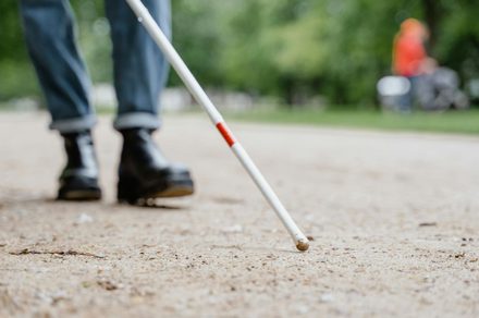 Harvard developers have made an AI app to help visually impaired users navigate