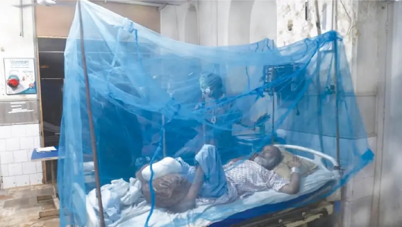 Malaria registers gradual surge across Sindh