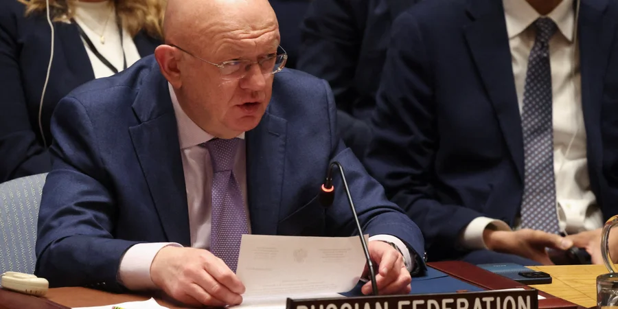 Nebenzya uses UN Security Council stage to lament sanctions on Russian cartoon