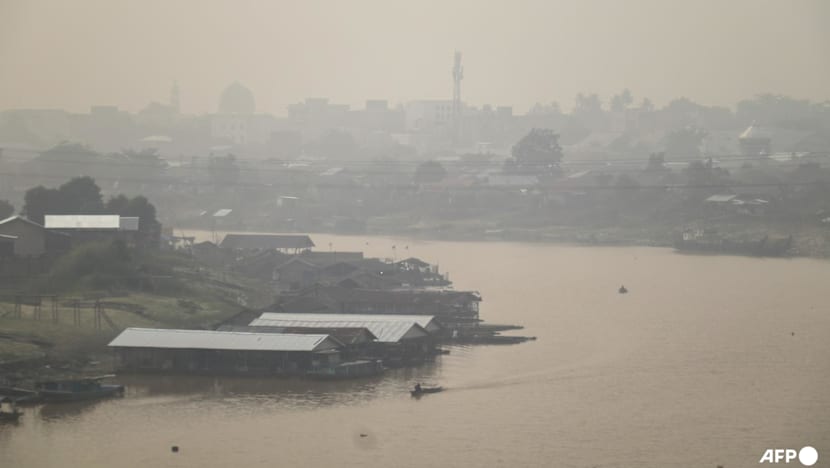 Prabowo orders permits to be revoked for firms linked to Indonesia forest fires