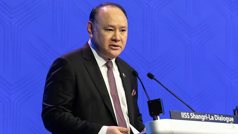 Philippines seeking to expand military drone capabilities, says defence chief