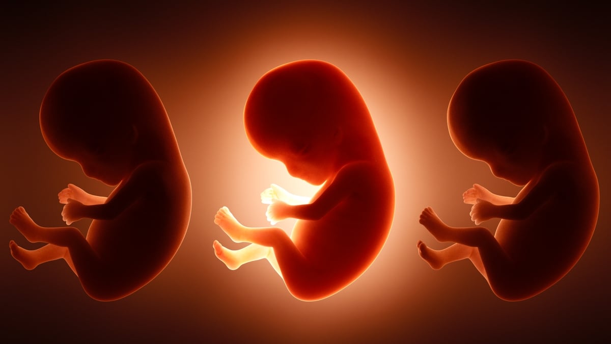 It's Not Just Mom's Diet: Father's Junk Food Habit May Shape His Unborn Baby