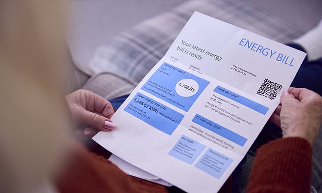 Energy bills will remain 'stubbornly high' until the end of the decade, major supplier warns