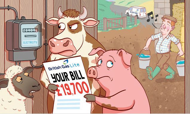 My electricity bill is £200 but British Gas took £19,700 from my account and a month later they hadn't paid me back: SALLY SORTS IT