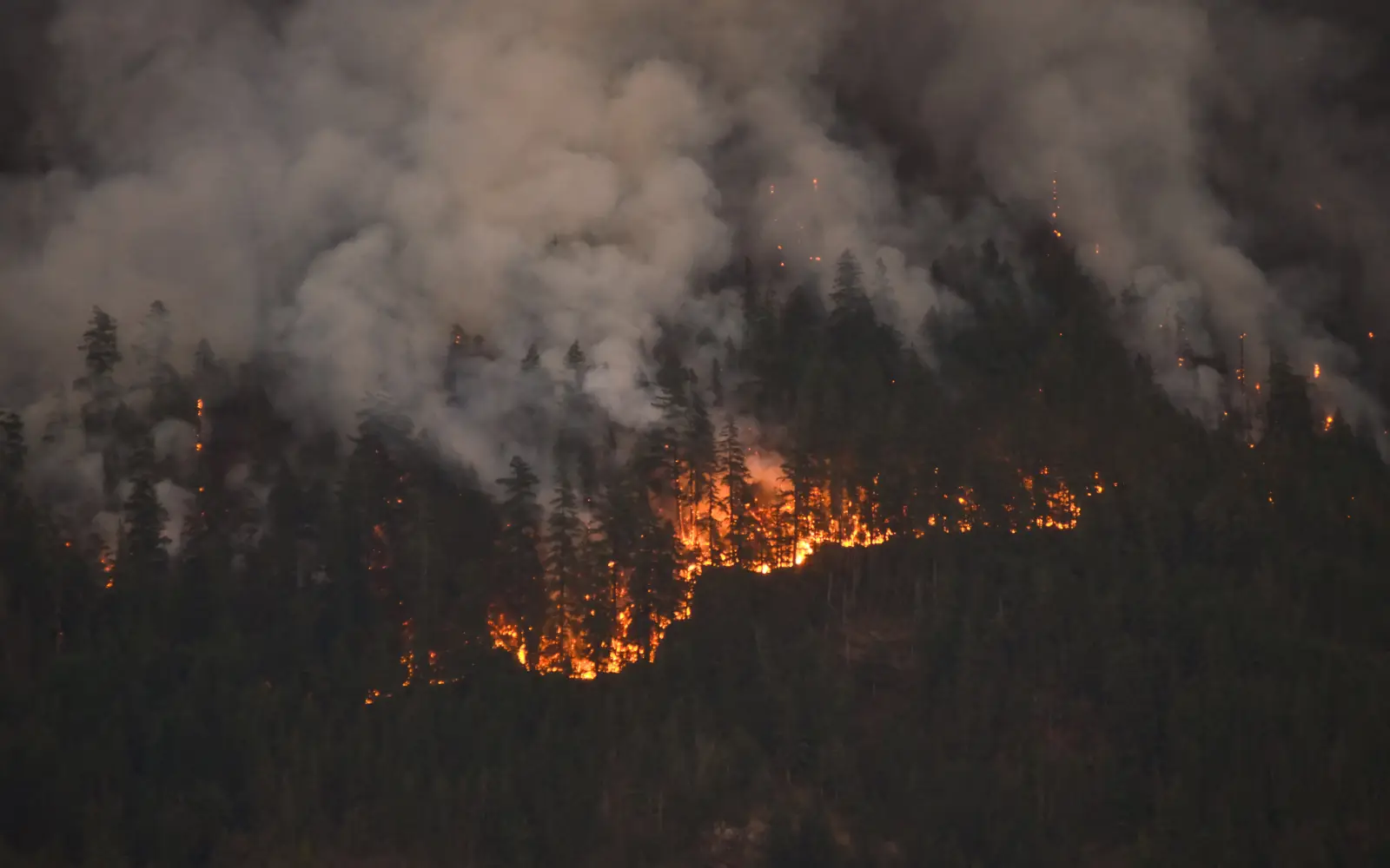 Thousands told to evacuate in western Canada as wildfire grows