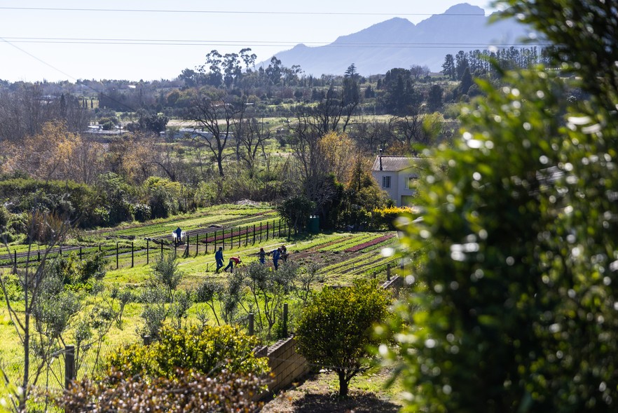 Stellenbosch residents oppose new luxury estate