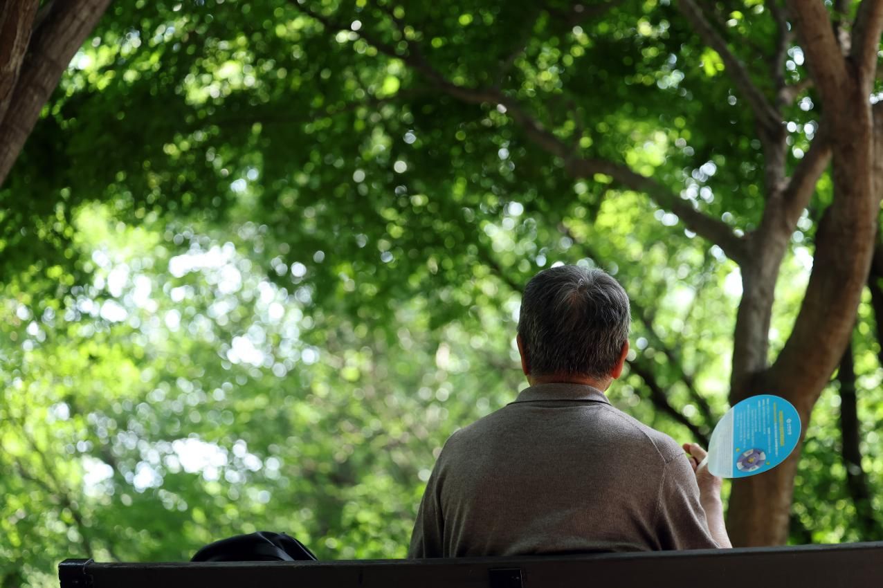 Why some parts of Seoul are hotter than others