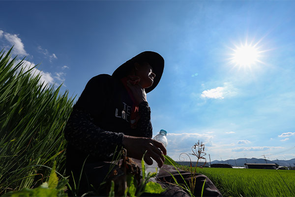 Gov't to Reinforce Heat Wave Response, Launch Emergency Units for Support