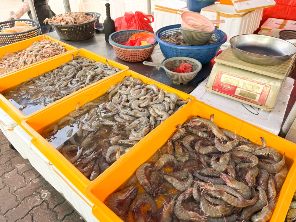 Shrimp import talks with Thailand at final stage, resolution expected by mid‑August, says Mat Sabu