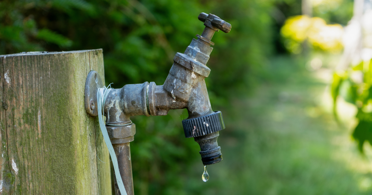 Heatwave incoming: What you should know about water shortages in Germany