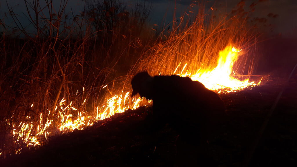Caught red-handed: Man caught starting a fire while firefighters battled nearby blazes