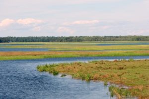 Scarborough Marsh in Scarborough, Maine
