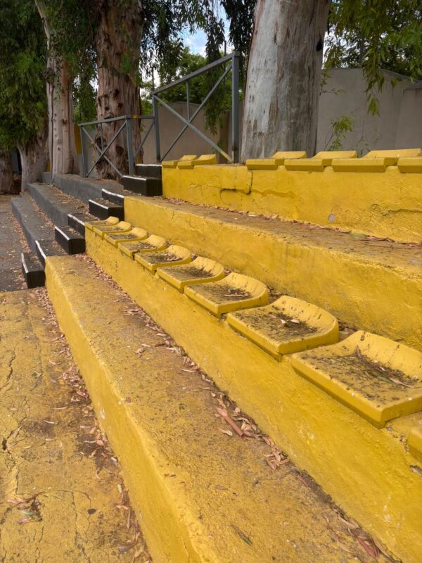 Los Arcos Stadium Left to Rot as Orihuela Council’s Promises Collapse