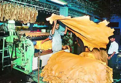 Leather sector witnessing dwindling exports: Chairman PTA