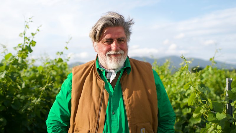 ‘It’s not easy. It’s not glamorous’: How Matt Preston found a renewed sense of purpose on TV