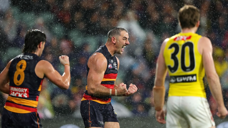 Crows get home after almighty Tigers scare in the wet
