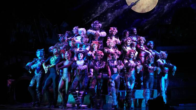 Andrew Lloyd Webber’s ‘Cats’ musical extends its Hong Kong run