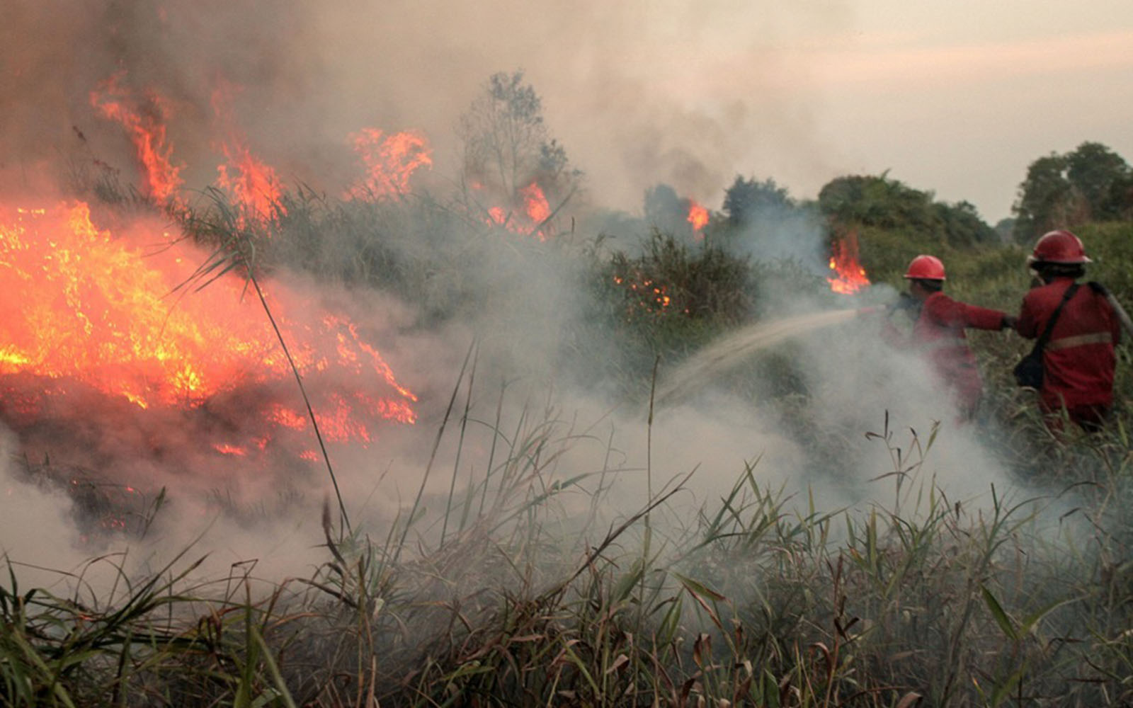 Kebakaran hutan Indonesia mula reda, mungkin selesai dalam 2 minggu