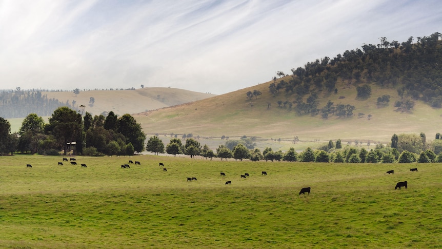 Historic farm's sale to carbon credit company raises community ire