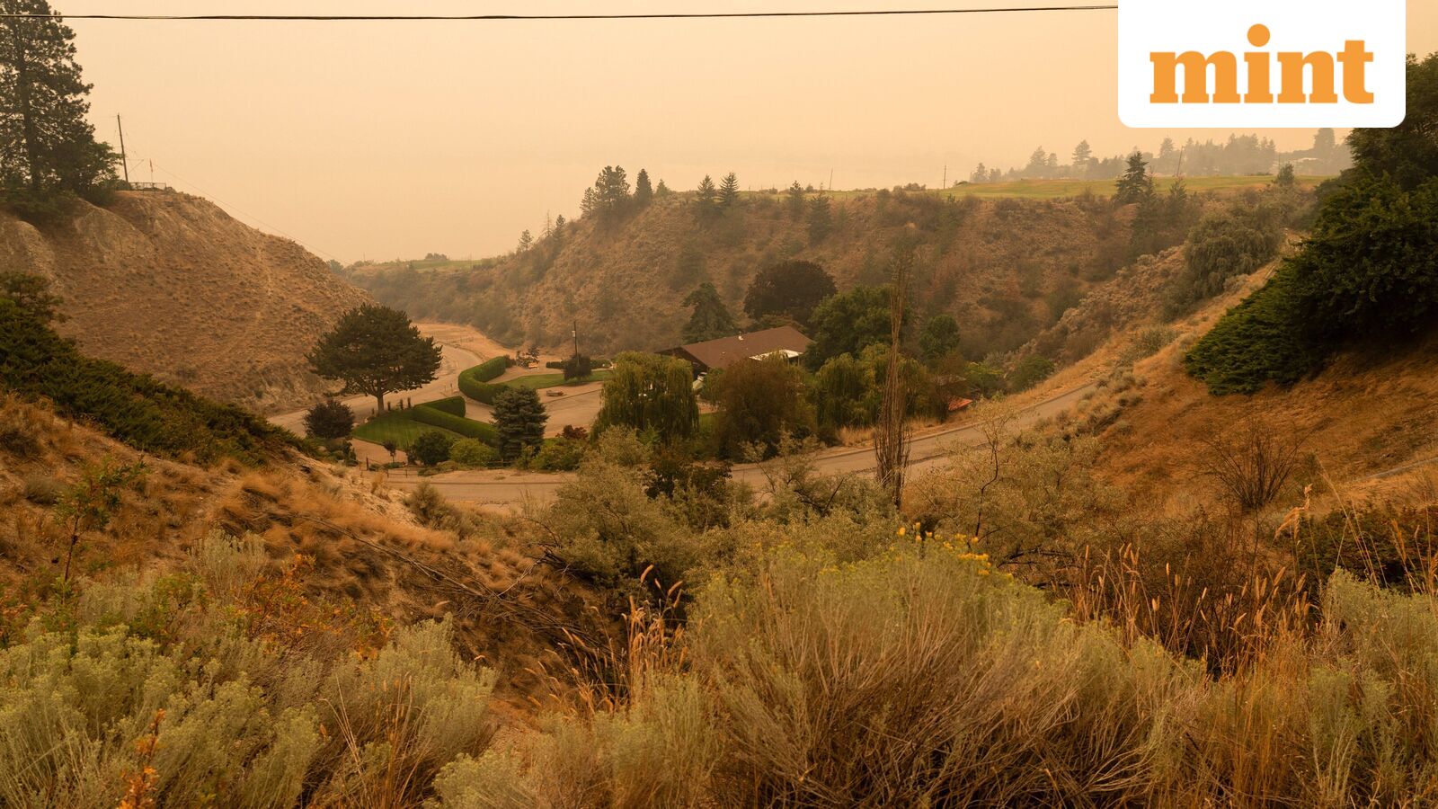 World News Today Live Updates on August 9, 2026 : Canada wildfire: British Columbia declares state of emergency, forcing thousands to evacuate amid raging fire